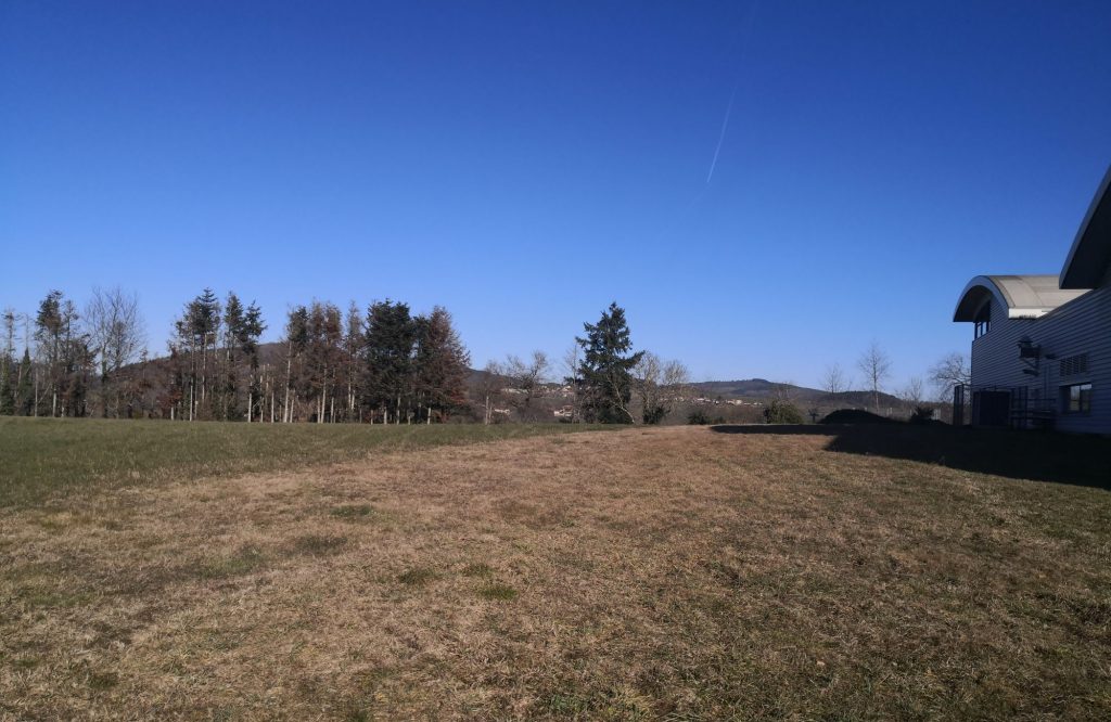 3 chênes labo (2)
