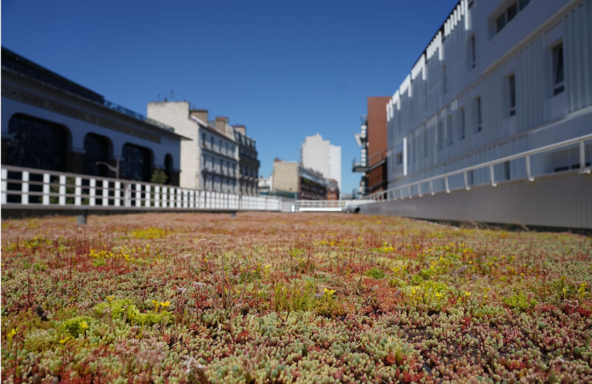 image - 2022-03-02T172830.055