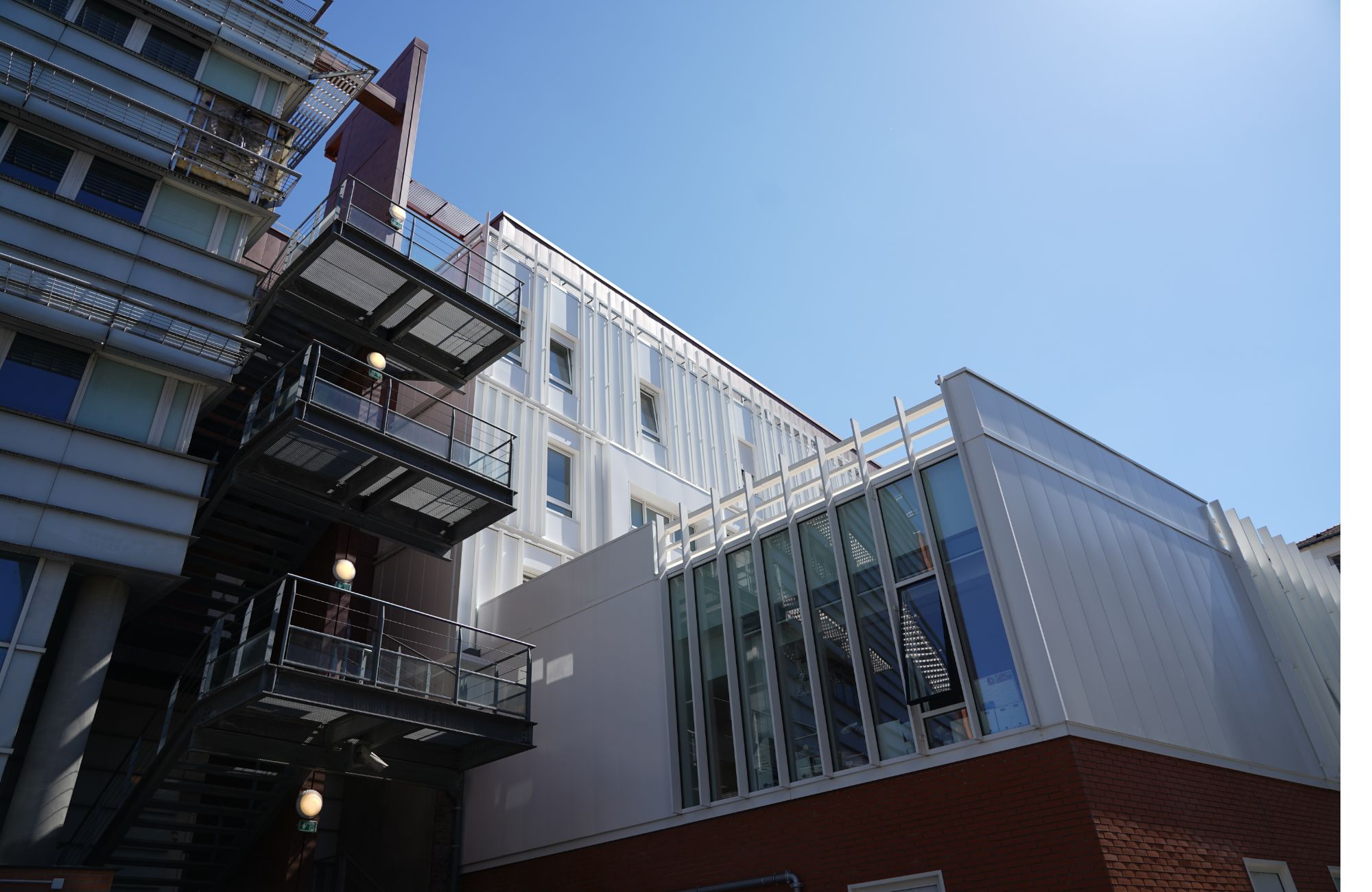 image - 2022-03-02T172959.603