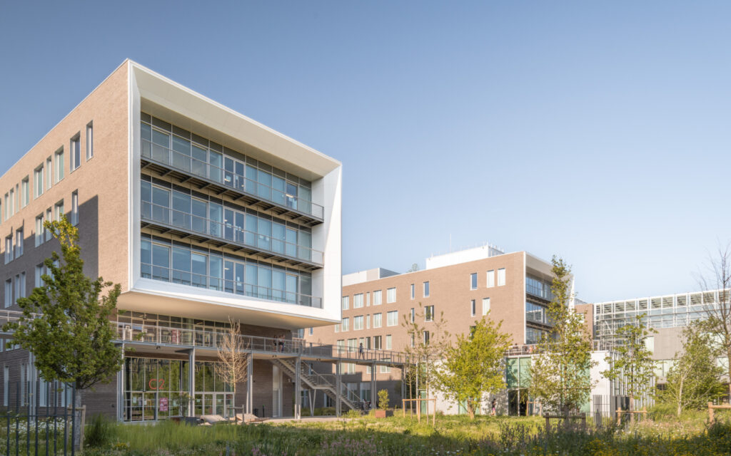 2952-agroromuald-nicolas-web-27